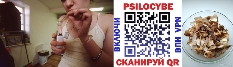 Псилоцибиновые грибы мицелий  Меленки 